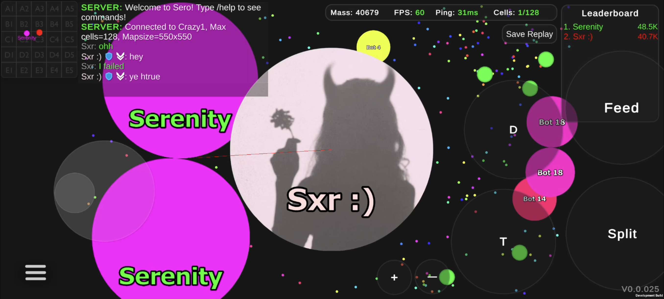 Two players, Sxr and Serenity, playing Sero on the same server